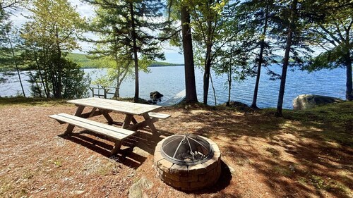 Secluded waterfront cabin with kayaks