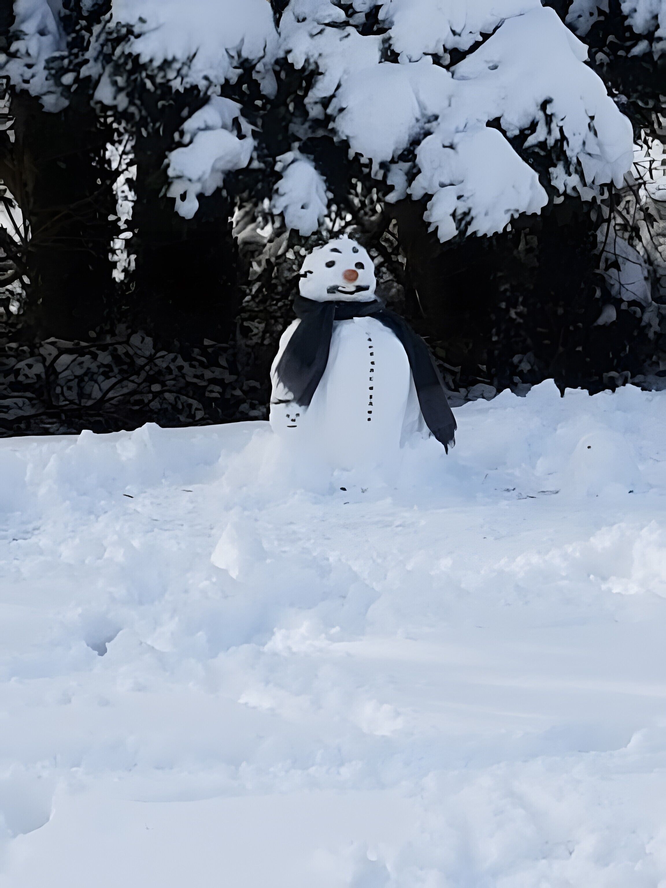 Un muñeco de nieve en un paisaje nevado.