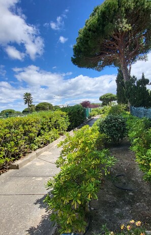 Terrein van de accommodatie