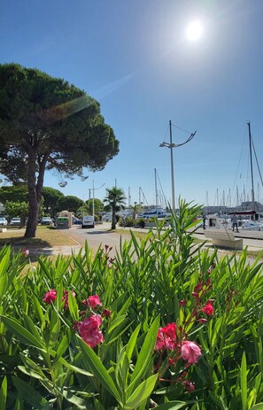 Property grounds - Terrasse 4 : quai du port de plaisance (Le Grau-du-Roi)