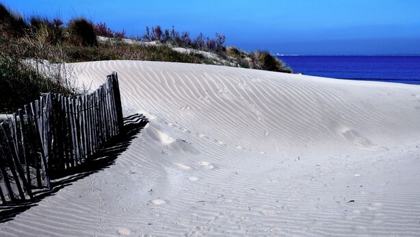 Ein sandiger Strand mit einer Holzlattenveranda und spärlicher Vegetation.