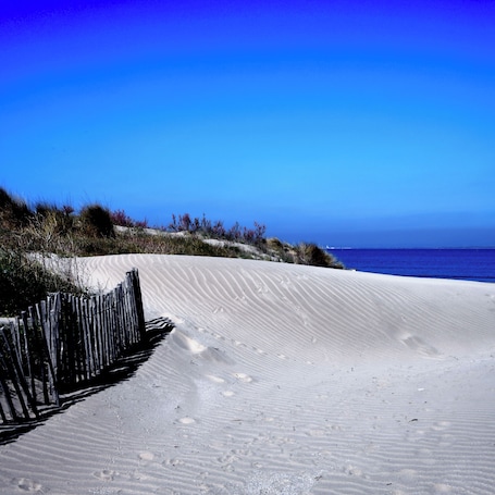 Beach. 🌊Villa Faraman 🏖️au bord de l'eau