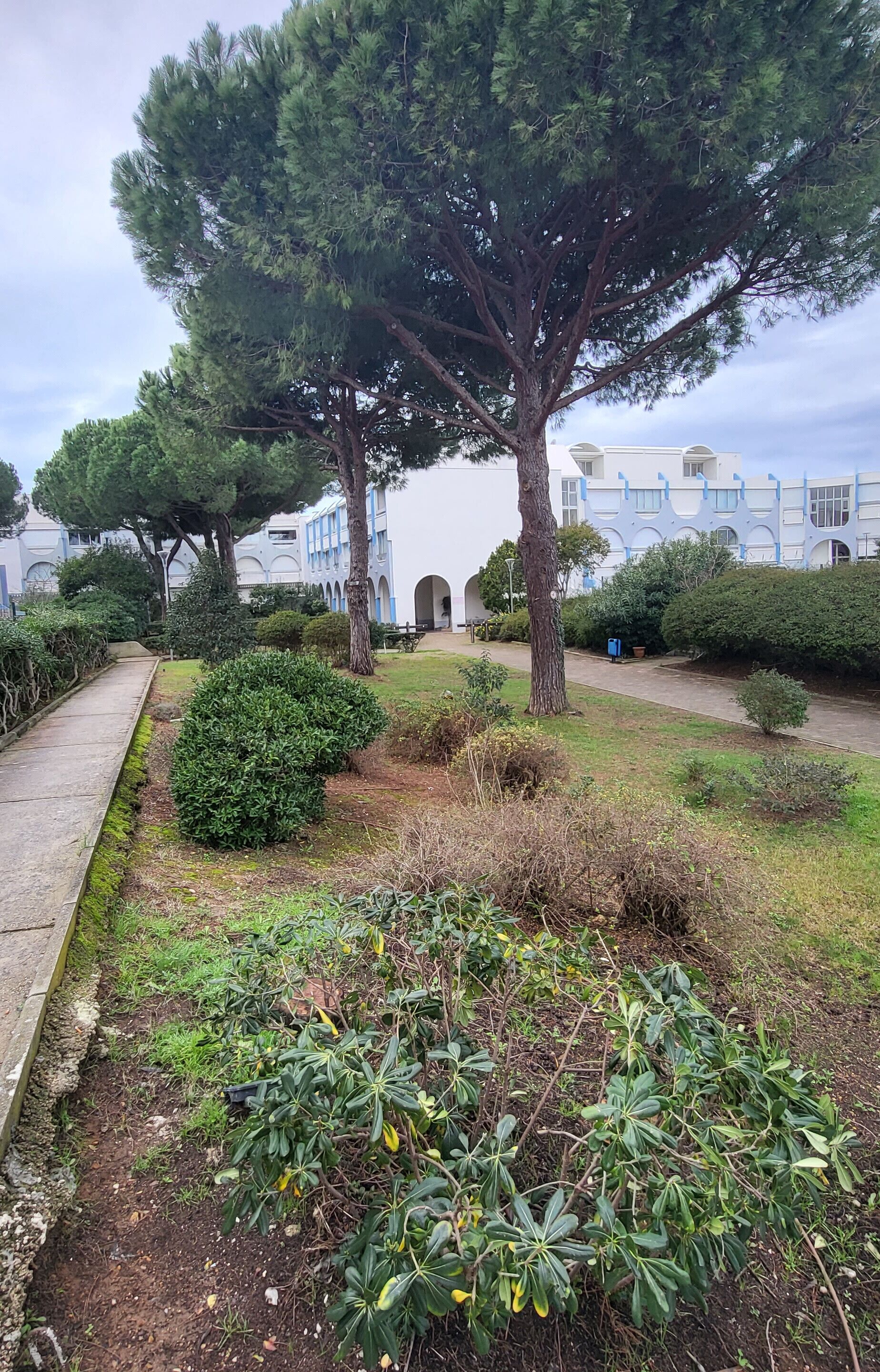 Terrein van de accommodatie