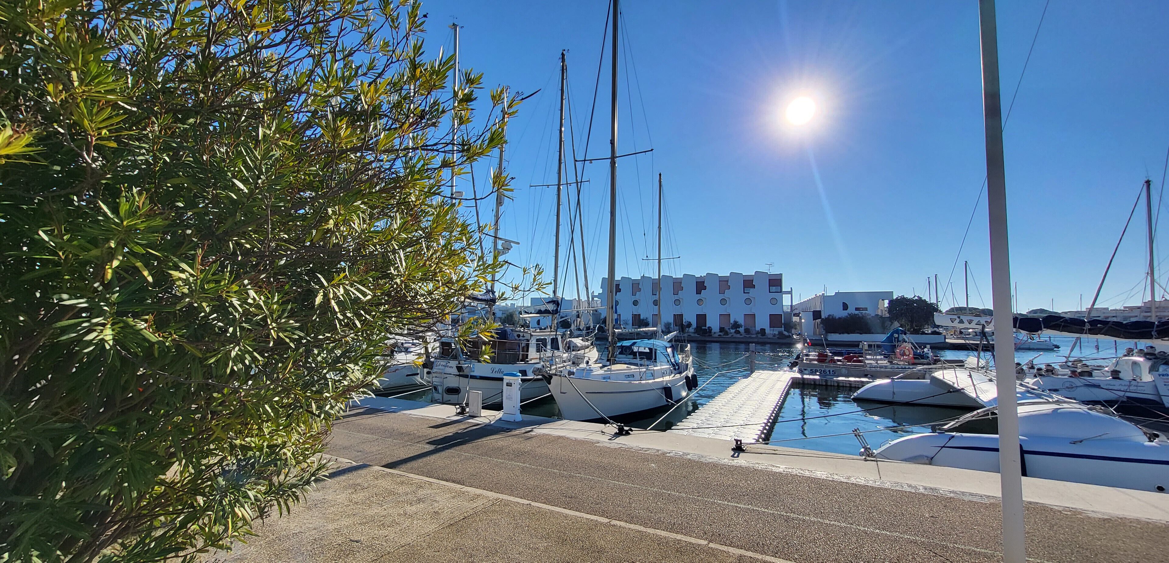 Marina