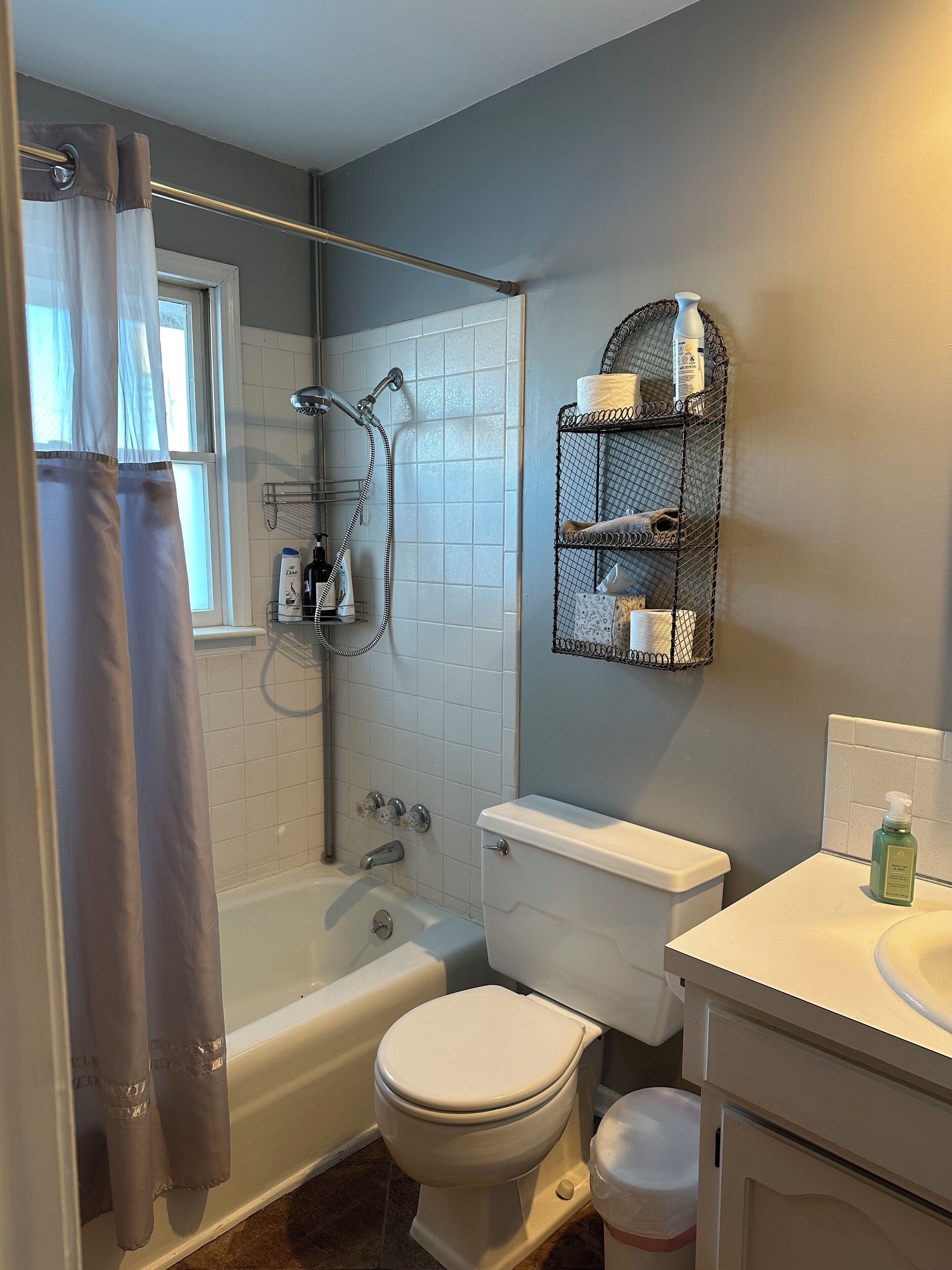 Hair dryer, towels, soap, toilet paper