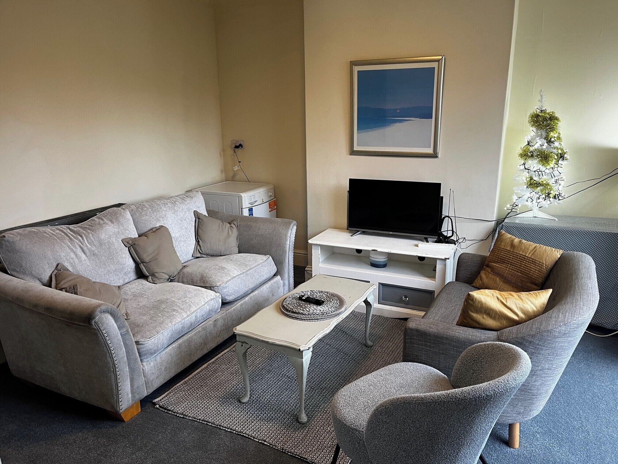 A living room with a grey sofa, a smaller grey armchair, a coffee table, a flat-screen TV on a white stand, a small white table, and a decorative plant.