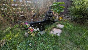 A garden with a water feature, rocks, and various plants.