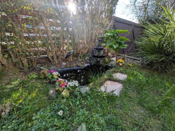 Un jardín con una fuente de agua, rocas y diversas plantas.