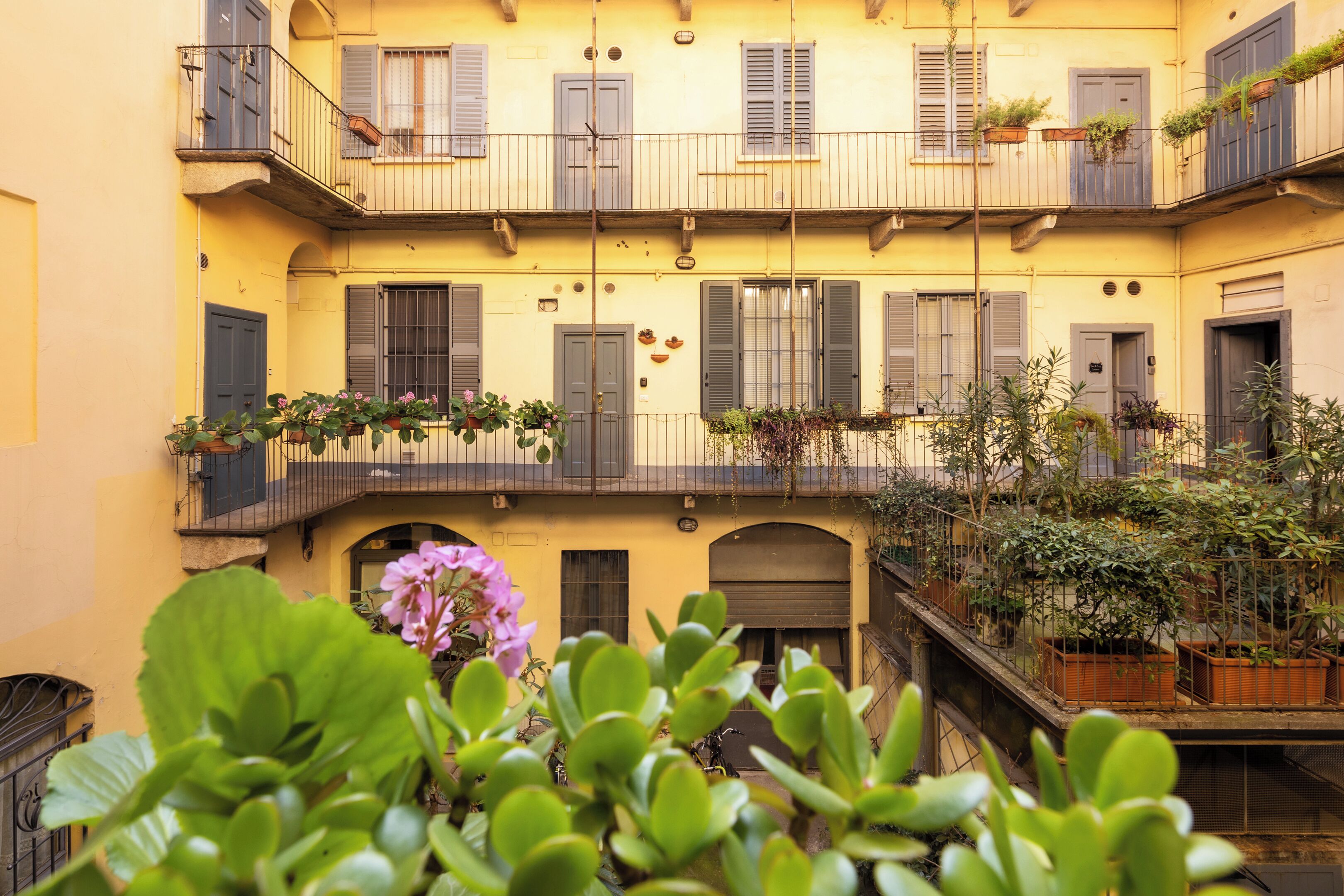 Un immeuble à plusieurs étages doté de balcons, de plantes en pot et d’un petit espace jardin.
