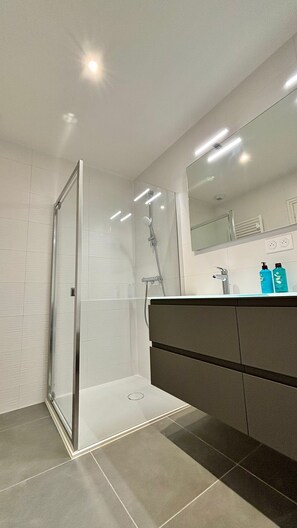 Hair dryer, towels, soap, toilet paper - Town house (Auray)