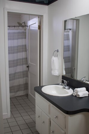 Hair dryer, towels, soap - 3BR Waterfront APT in Auburn, NY (Auburn)