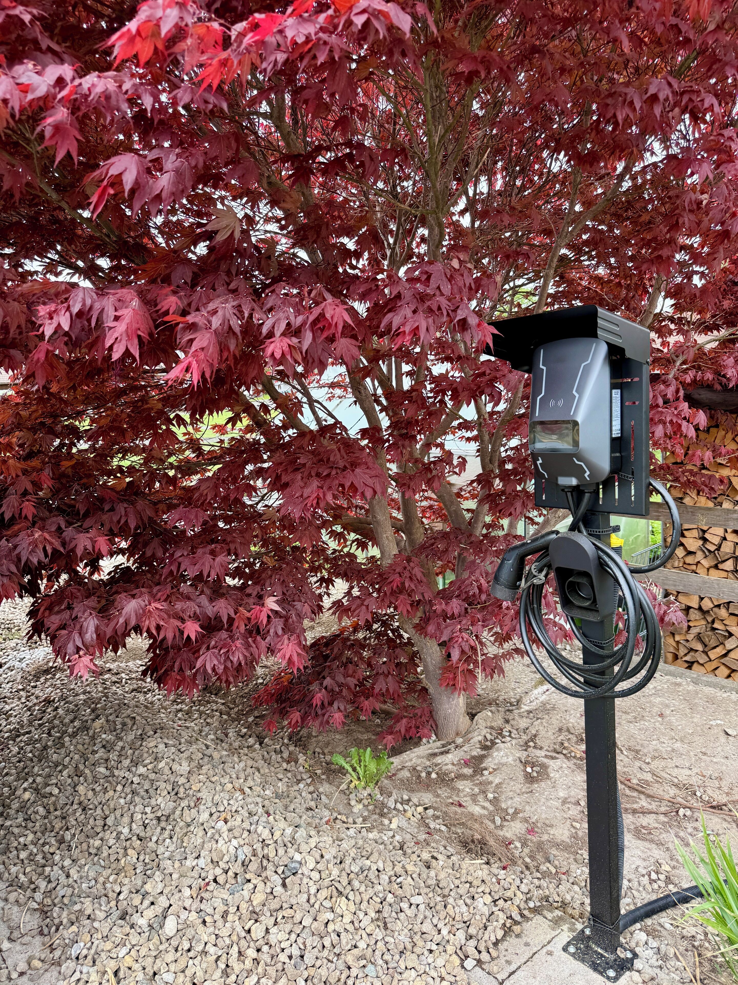 En svart, utomhusmonterad elcentral med en solpanel och hoprullade kablar, placerad i en trädgård med röda blad och ett underlag av grus.