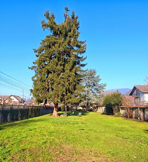 Área da propriedade