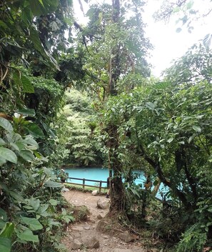 A natural setting with dense foliage, a dirt path, and a blue body of water in the background.