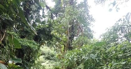 Rio celeste forest cabins B&L