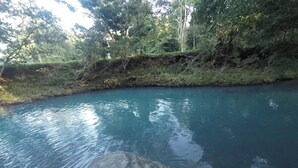 Un fiume tranquillo circondato da vegetazione lussureggiante e alberi.