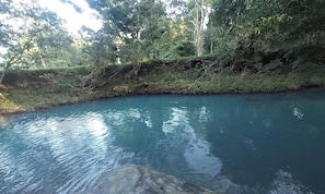 A serene river surrounded by dense greenery and trees.