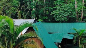 Una struttura in legno rustica con tetto verde, immersa nel verde e circondata da palme.