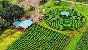 Un ampio e complesso giardino labirinto con motivo circolare e un piccolo edificio con tetto blu.