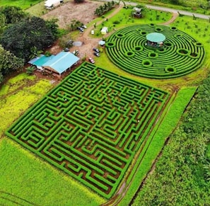 A large, intricate maze garden with a circular pattern and a small building with a blue roof.