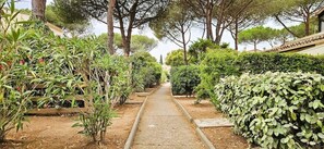 A pathway flanked by neatly trimmed hedges and trees, leading towards a building. - Villa sous les Pins (Agde)