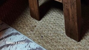 Une table de chevet en bois avec une lampe, un lit et un mur orné d’un tableau encadré.