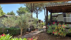 A covered outdoor area with a wooden structure, a pathway, and a garden with various plants and flowers. - Mer et Pins - chalet with swimming pool (Agde)