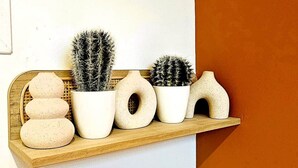 A shelf with various potted plants and decorative items. - La Cachette Oubliee (Melun)