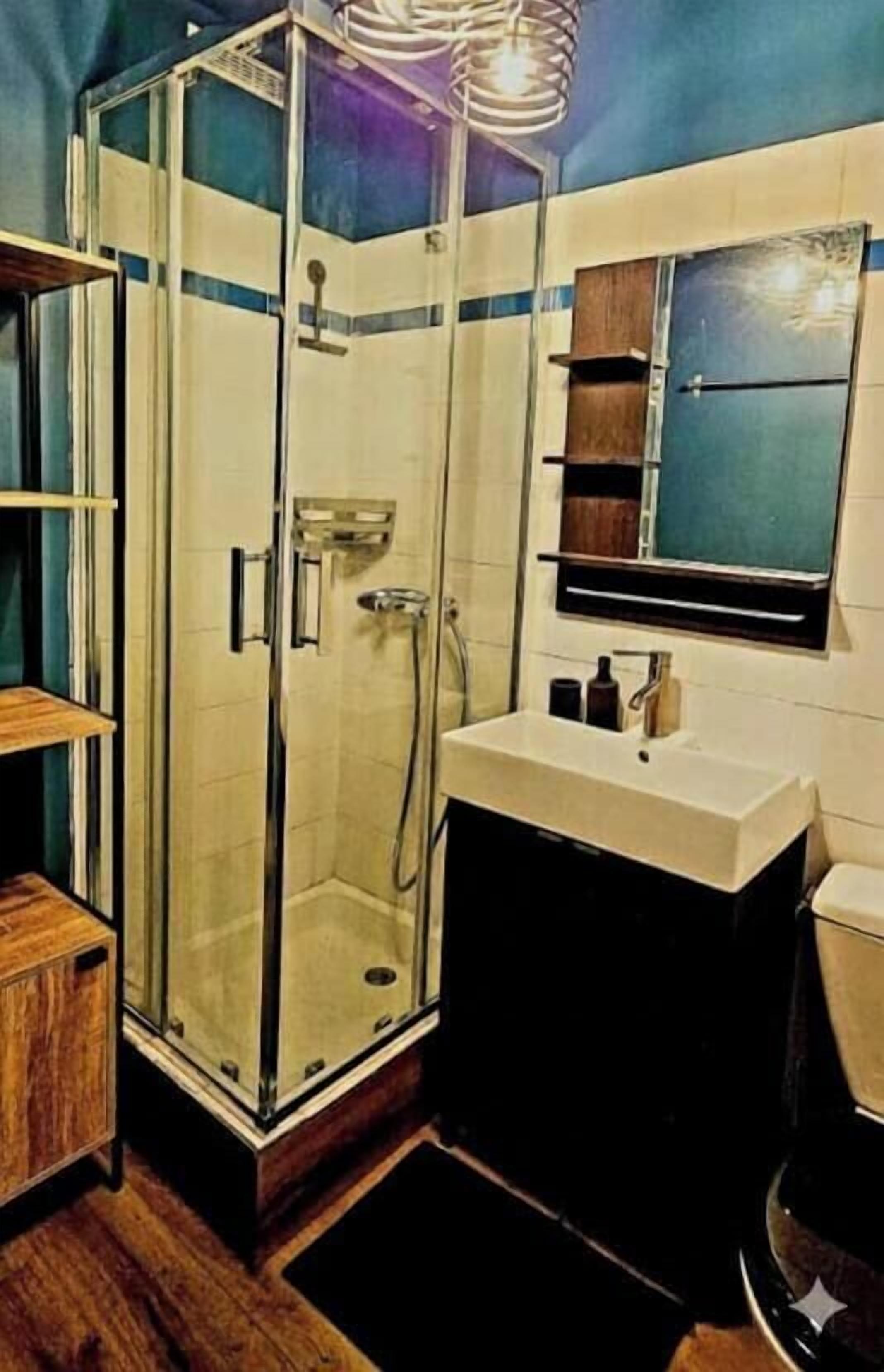 Shower, hair dryer, towels, toilet paper