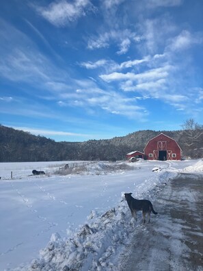 Unclassified image, 3 of 19, button - Cozy 3-Bedroom Seasonal Rental on 32 Acres in Montgomery, MA (Montgomery)
