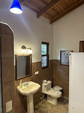 シャワー、ヘアドライヤー、タオル、石鹸