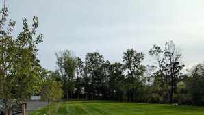 Un parque con césped, árboles y un sendero pavimentado.