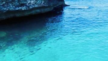 Divers