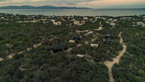 Luchtbeeld van een woongebied met huizen, omgeven door weelderige begroeiing en een kustlijn.