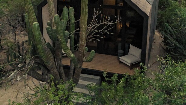 Een rustieke blokhut met een schuin dak, omringd door cactussen en woestijnvegetatie.