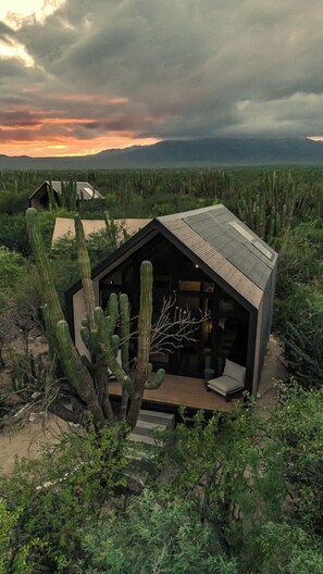 Una cabaña rústica con techo inclinado, rodeada de cactus y vegetación desértica.
