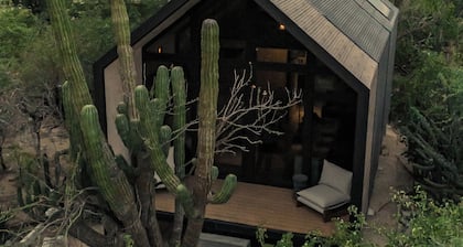 Cactacea Hidden Villas