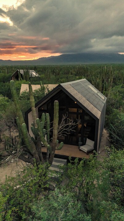 Cactacea Hidden Villas