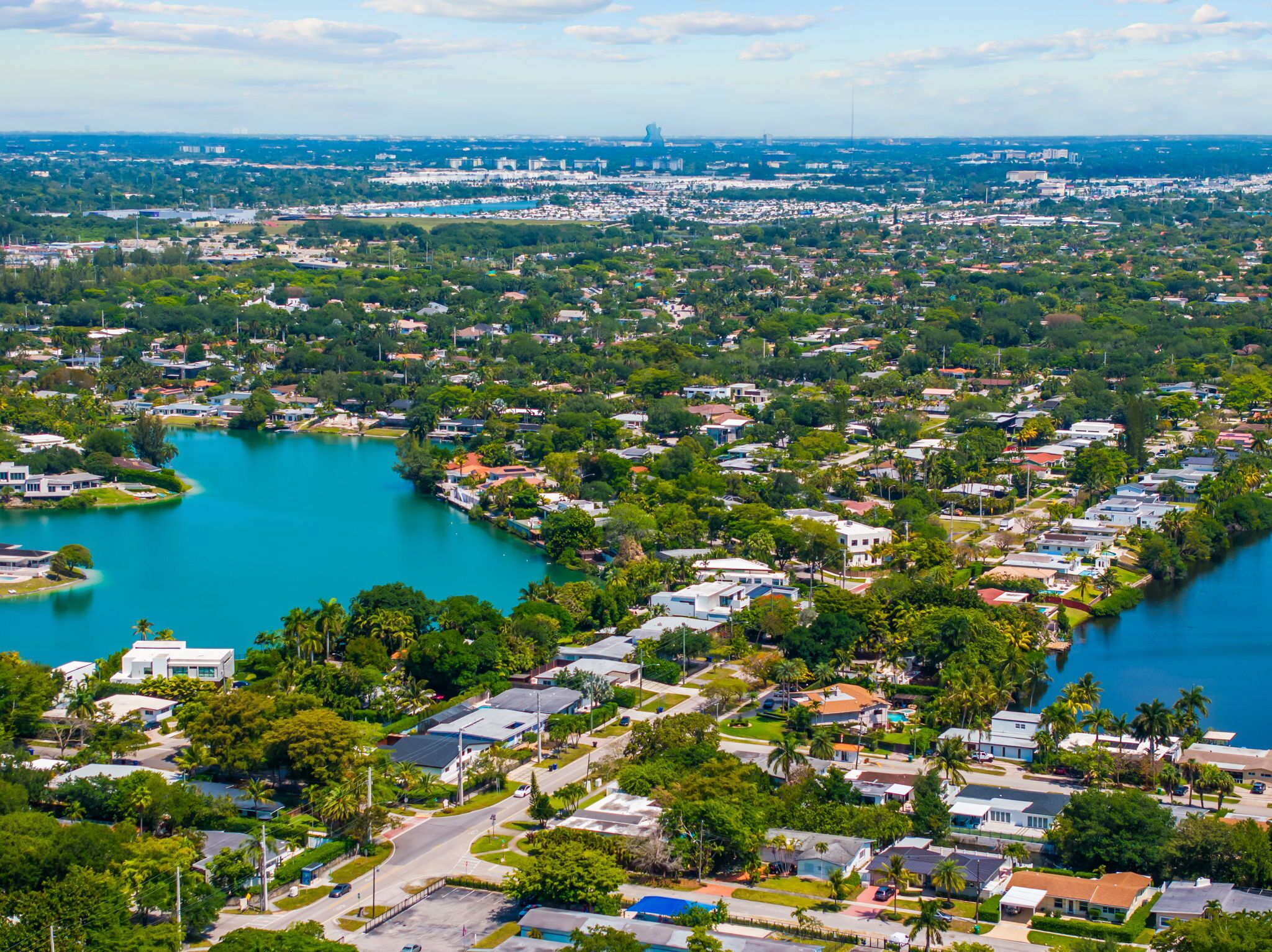 A residential area with houses, a lake, and a distant cityscape.
