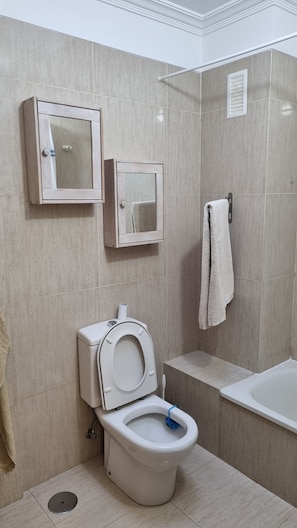 Hiustenkuivaaja, pyyhkeet, saippua, vessapaperi