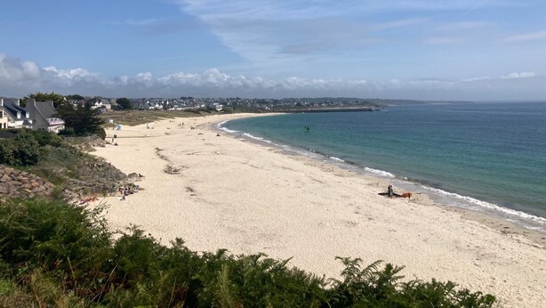A beach with a clear sky, sandy shore, and houses in the background.