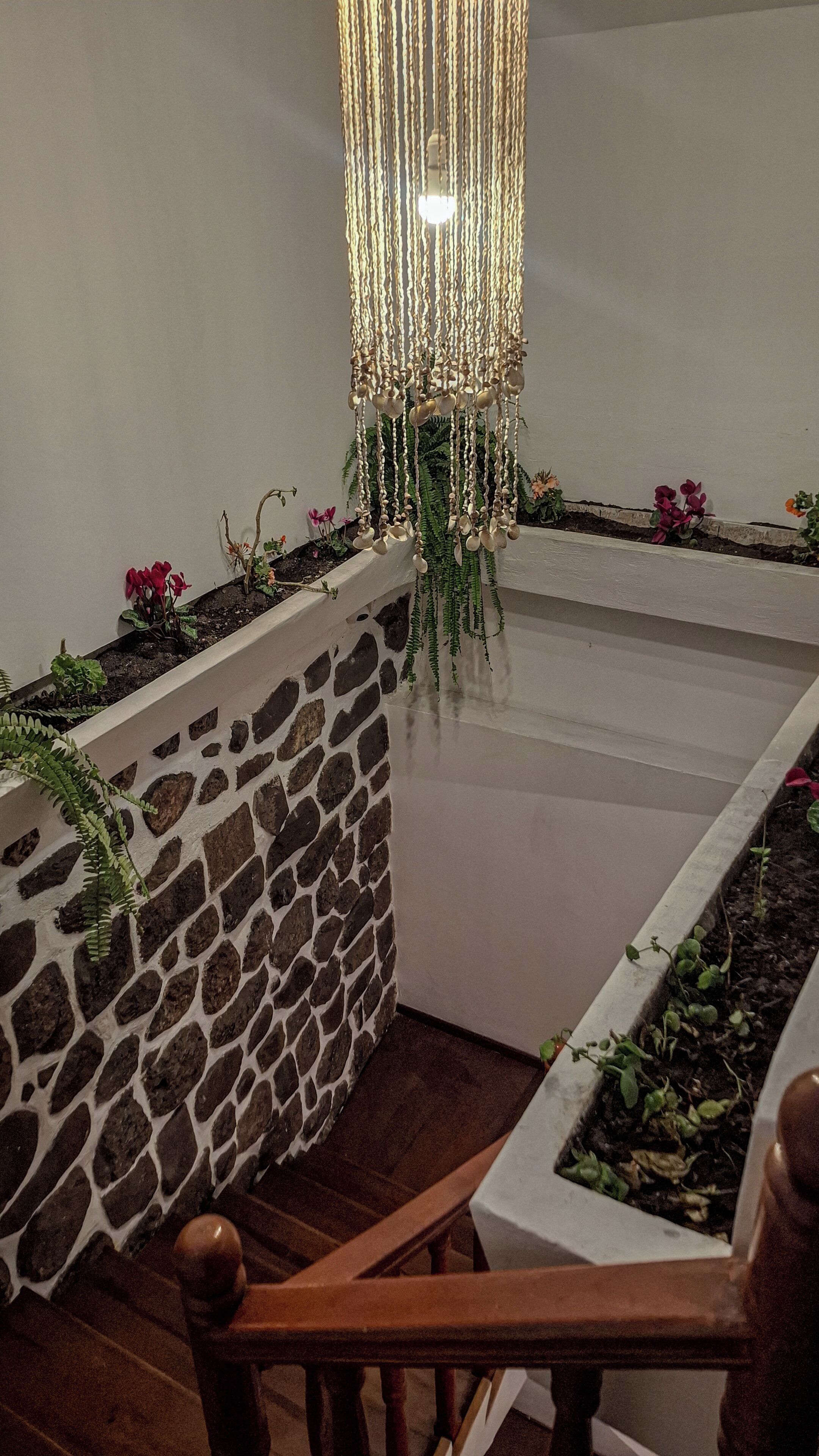 Jardín
