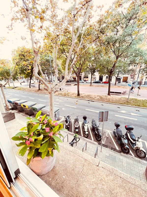 Property grounds - TARRADELLAS_1, PARA 14 PERSONAS, muy cerca Estació de Sants, llegada tren aeropuerto, muy bien comunicado y rodeado de comercios y restaurants (Barcelona)