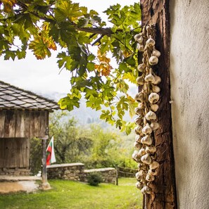 Terrain de l’hébergement 