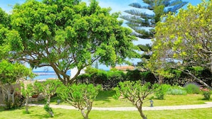 Un jardí exuberant amb diversos arbres i una vista despejada del mar.