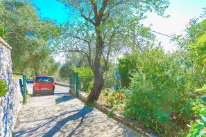 A narrow, cobblestone road flanked by lush greenery and a stone wall on one side. - Viilla Kefalaki: Superb sceneries and views, private pool (Nisaki)