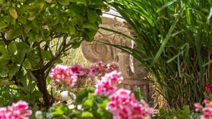 A garden with a stone sculpture, green foliage, and pink flowers. - Villa Paradiso in Agnos (Roda)