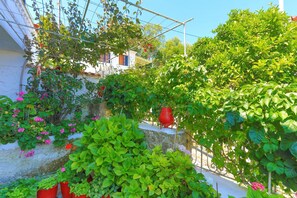 Property grounds - Faros Pende in Gaios (Gaios)