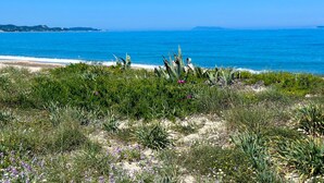 Un paysage côtier avec une plage de sable, une végétation verdoyante et une mer bleue et limpide.