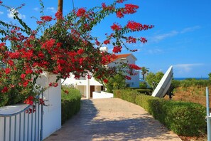 Property grounds - Villa Stavriella in Latchi (Latchi)